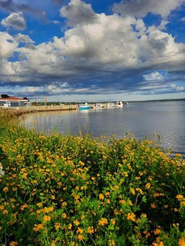 Willow House Inn B&B Pictou Bagian luar foto